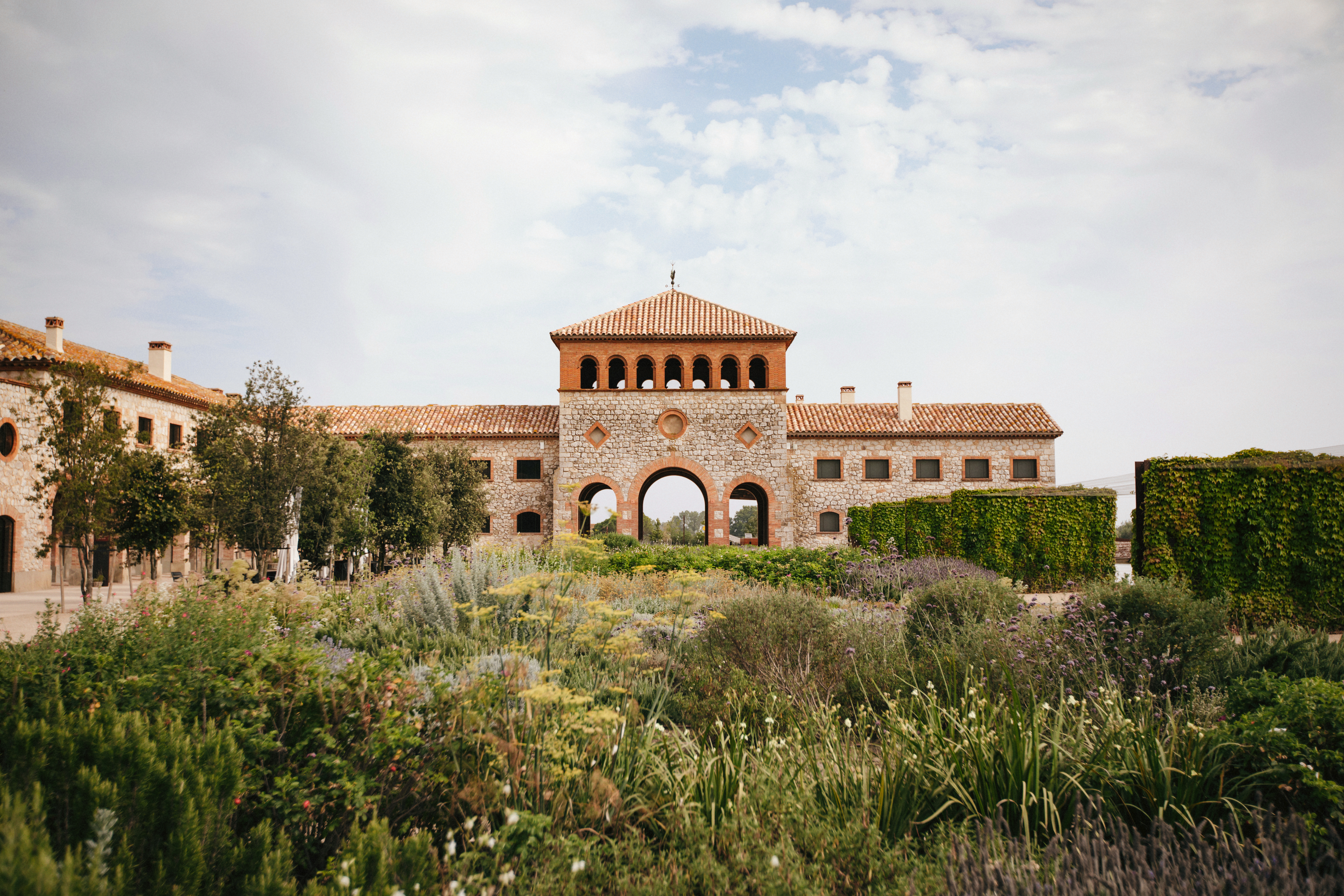 Descripción de la imagen