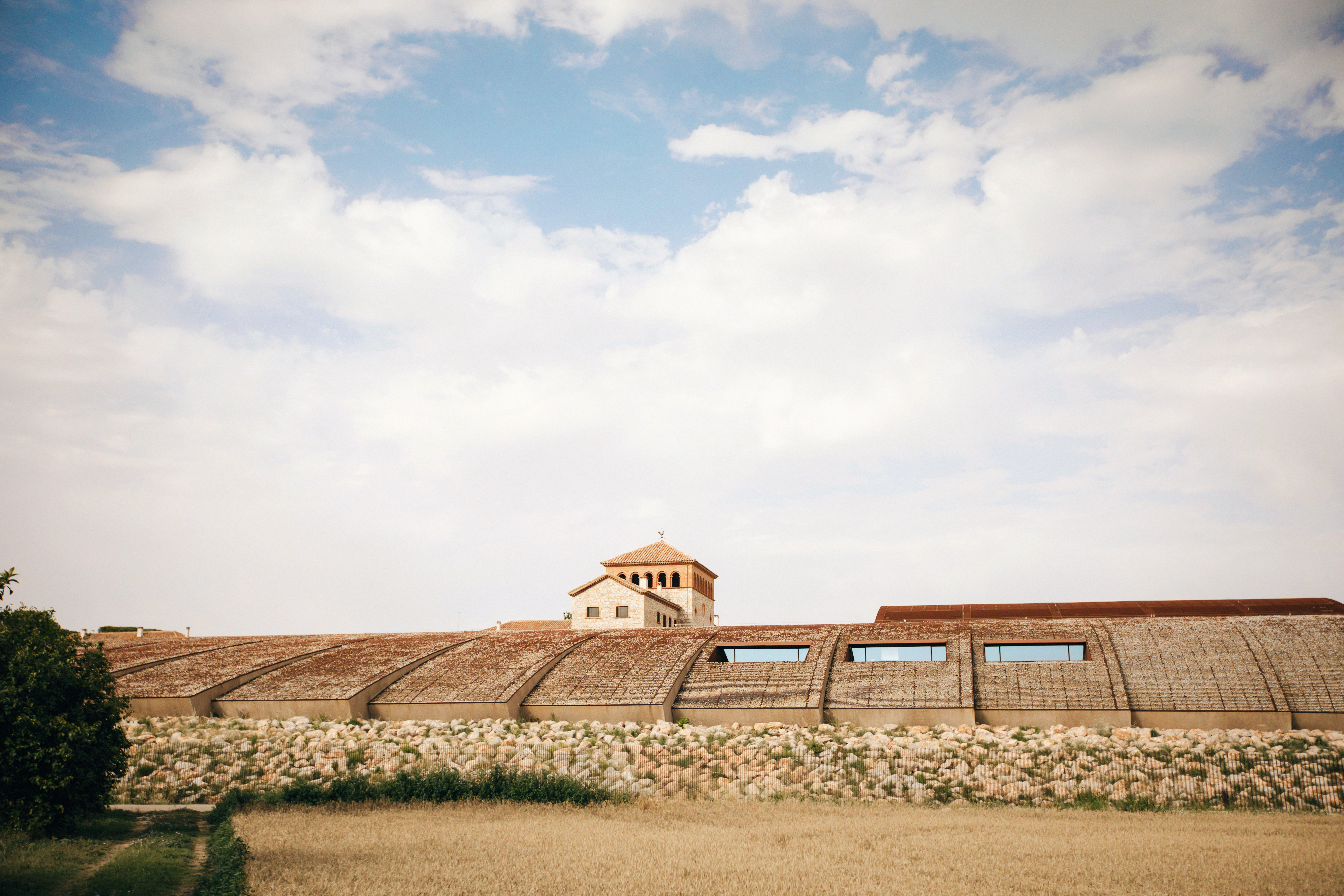 Descripción de la imagen